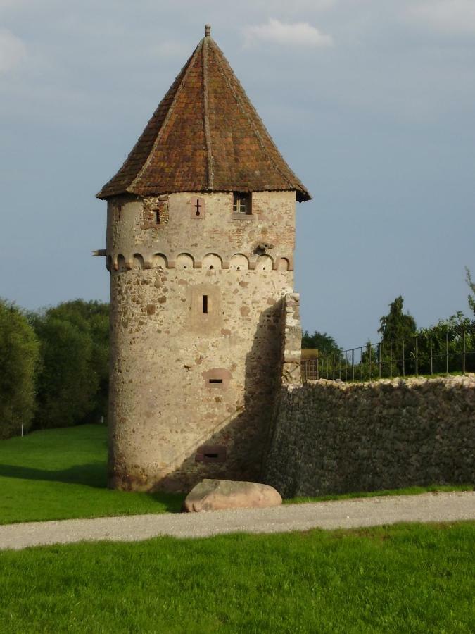 Gîte La Maison Bleue Bergheim Eksteriør billede