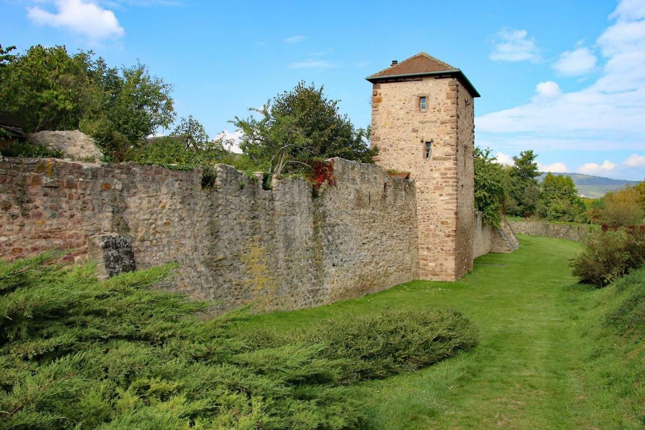 Gîte La Maison Bleue Bergheim Eksteriør billede